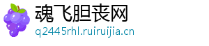 魂飞胆丧网